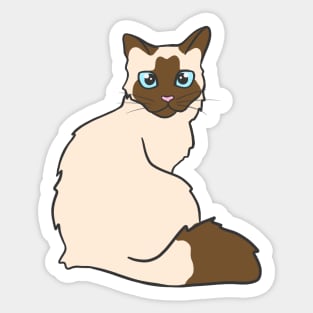 Radiant Ragdoll Sticker